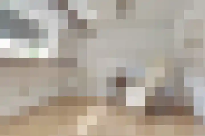 Kievitshof 72 Elst thumbnail 24