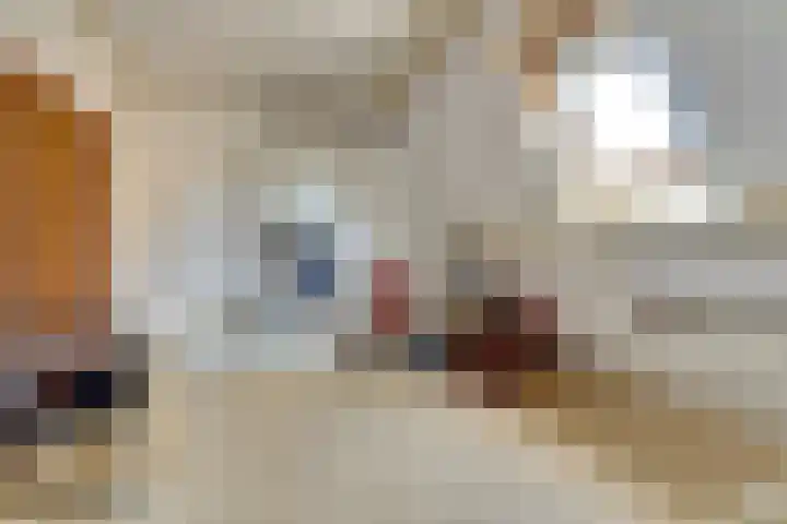 Kievitshof 72 Elst thumbnail 28