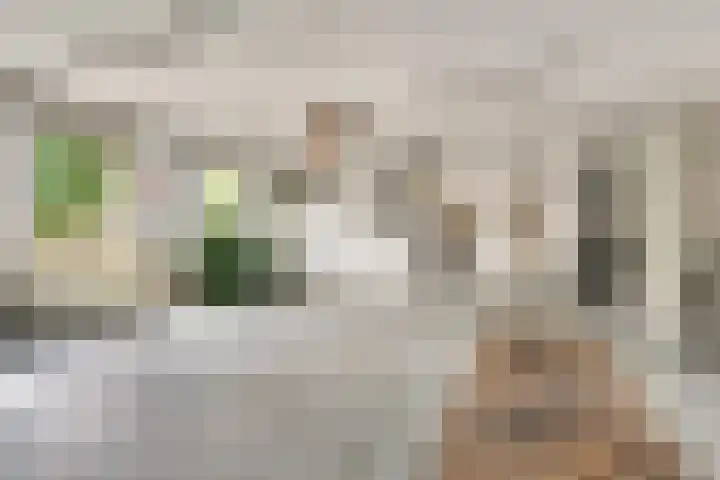 Kievitshof 72 Elst thumbnail 31