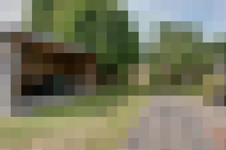 Kievitshof 72 Elst thumbnail 33