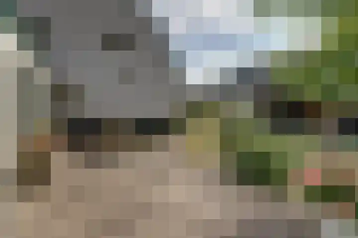Kievitshof 72 Elst thumbnail 36