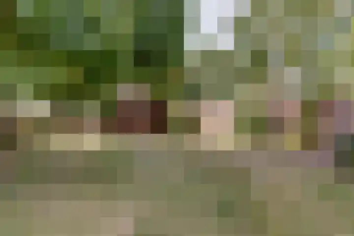 Kievitshof 72 Elst thumbnail 37