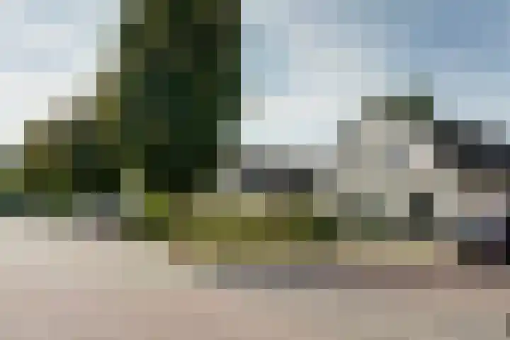 Kievitshof 72 Elst thumbnail 38