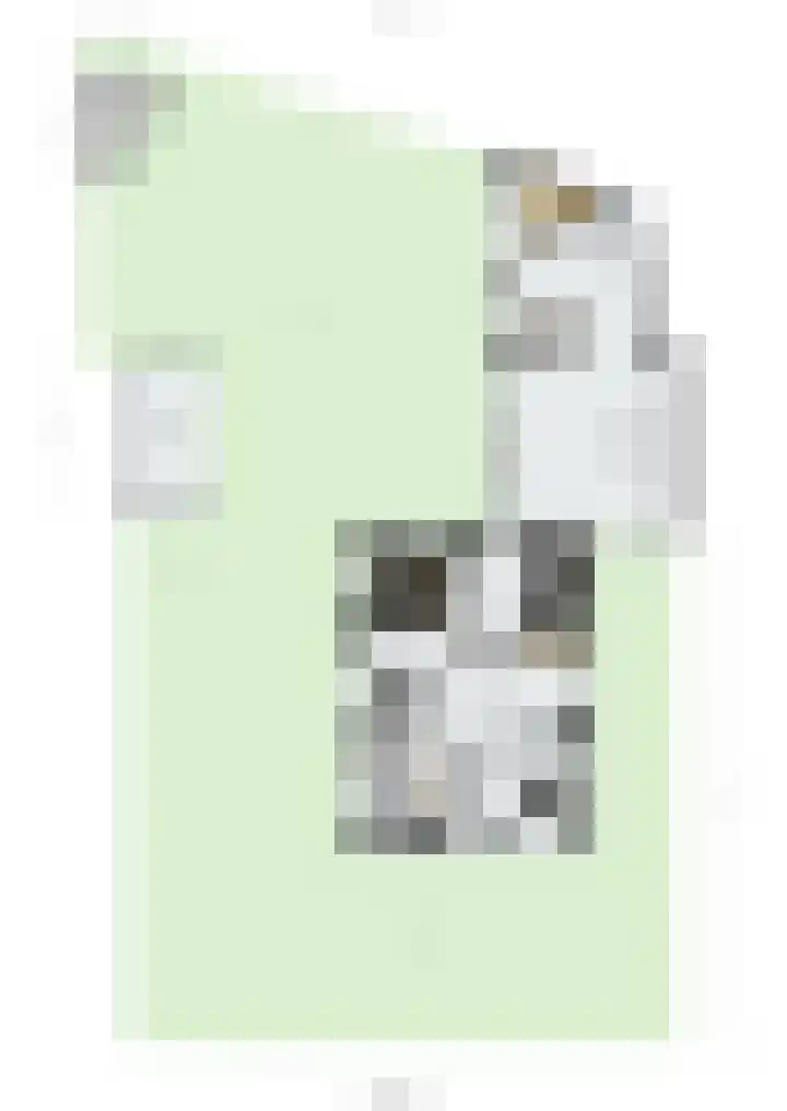 Kievitshof 72 Elst thumbnail 41