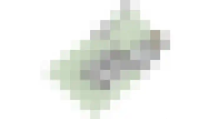 Kievitshof 72 Elst thumbnail 42