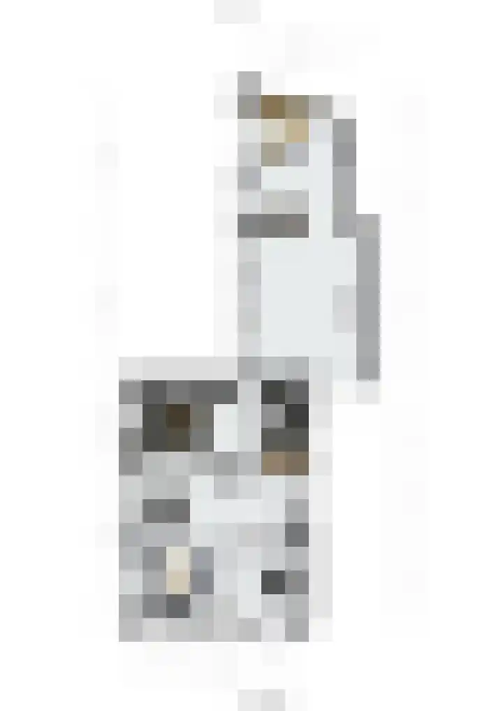 Kievitshof 72 Elst thumbnail 43