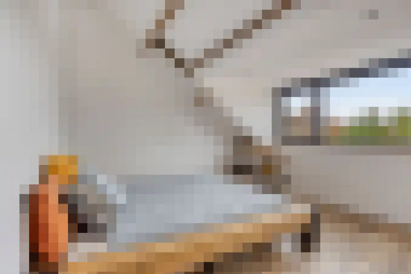 Kievitshorn 2 Noordwijkerhout thumbnail 10