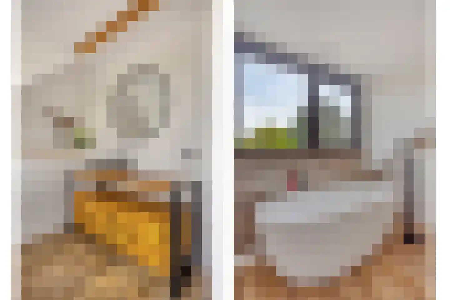 Kievitshorn 2 Noordwijkerhout thumbnail 11
