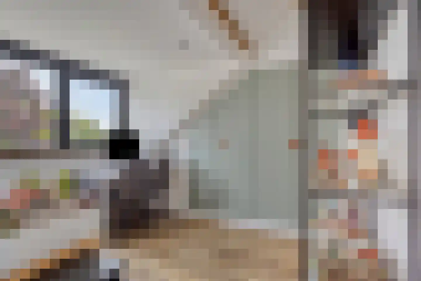 Kievitshorn 2 Noordwijkerhout thumbnail 12