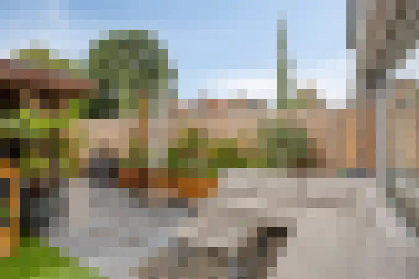 Kievitshorn 2 Noordwijkerhout thumbnail 13