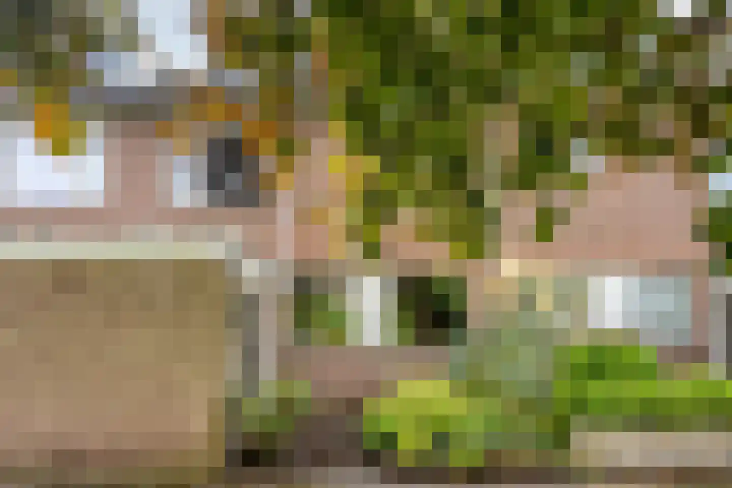 Kievitshorn 2 Noordwijkerhout thumbnail 14