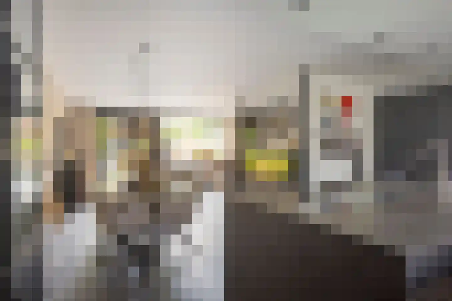 Kievitshorn 2 Noordwijkerhout thumbnail 21