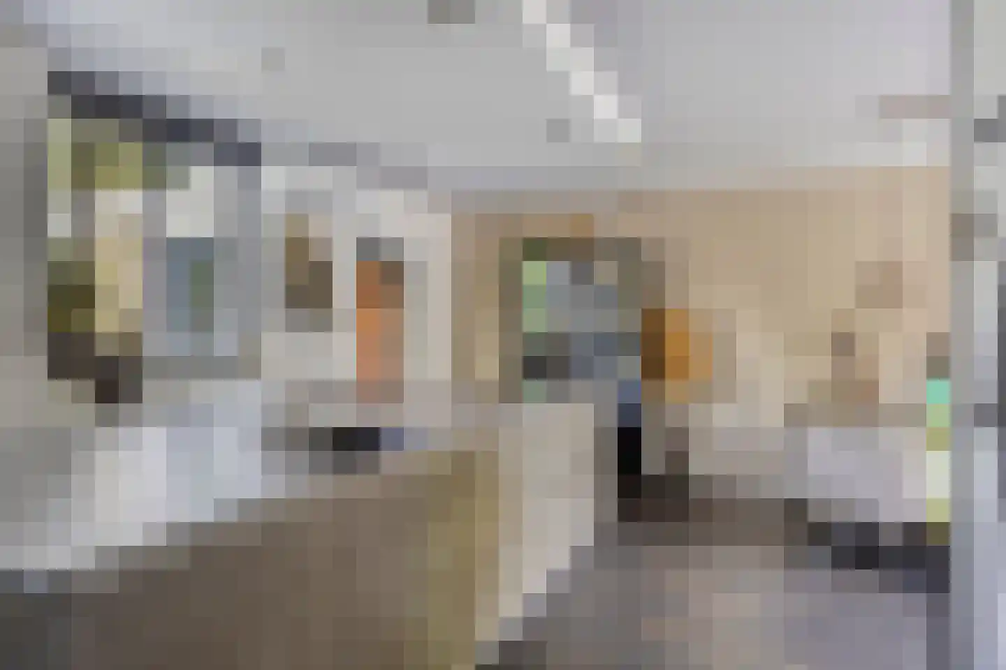 Kievitshorn 2 Noordwijkerhout thumbnail 22