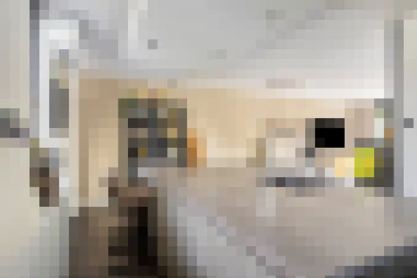Kievitshorn 2 Noordwijkerhout thumbnail 23
