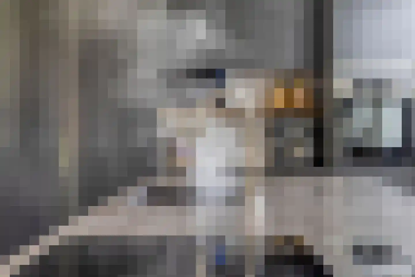 Kievitshorn 2 Noordwijkerhout thumbnail 25