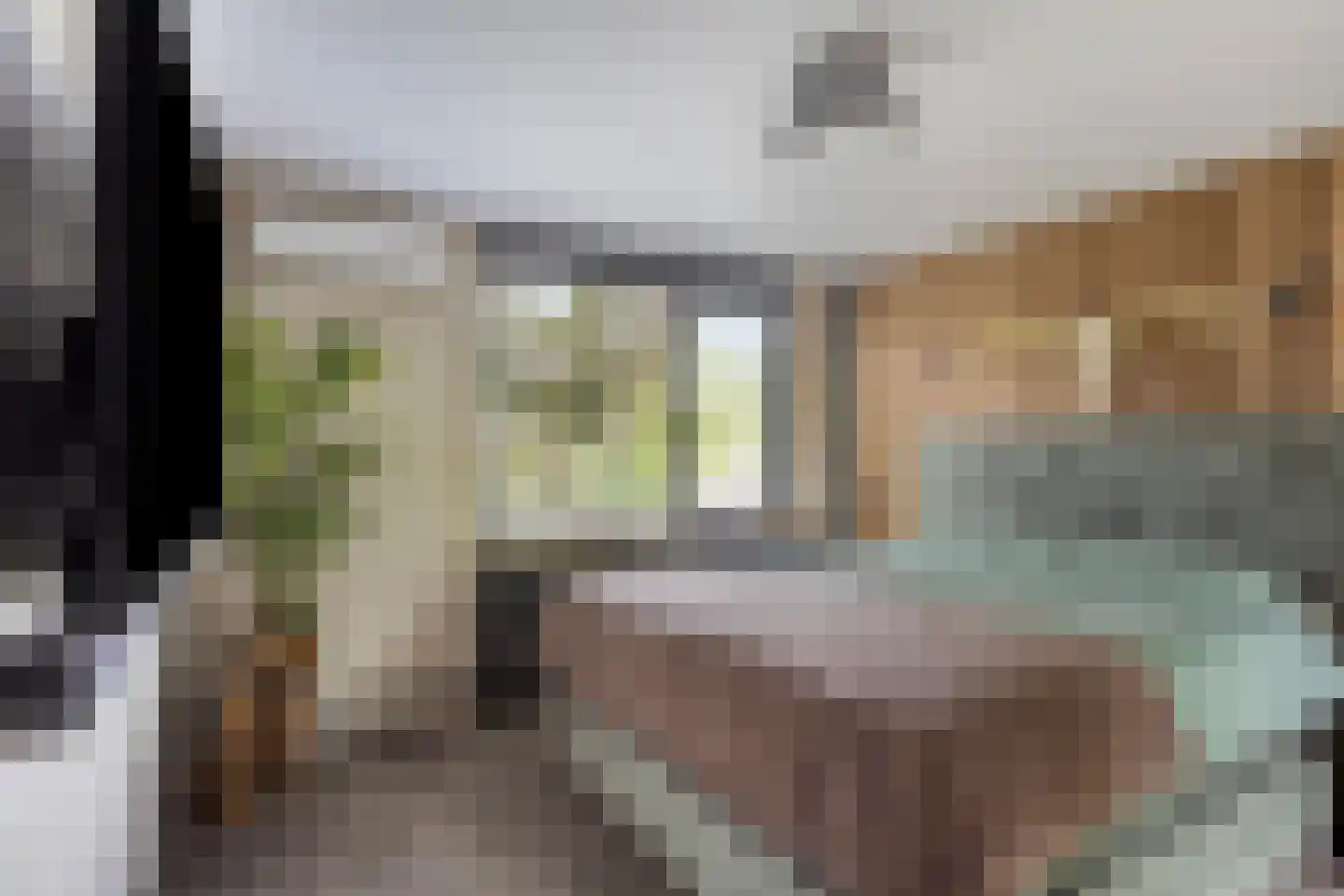 Kievitshorn 2 Noordwijkerhout thumbnail 27