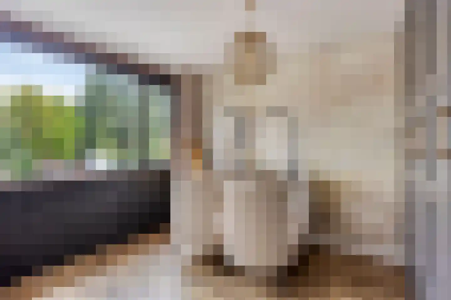 Kievitshorn 2 Noordwijkerhout thumbnail 33