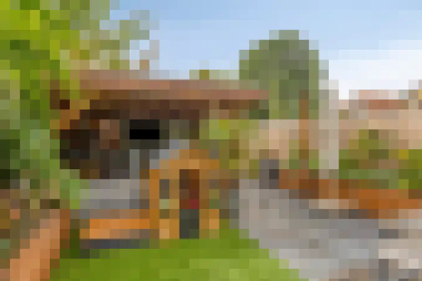 Kievitshorn 2 Noordwijkerhout thumbnail 39