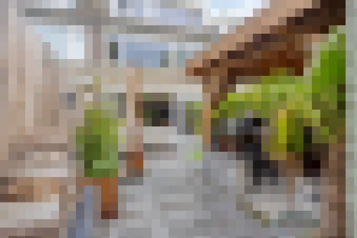 Kievitshorn 2 Noordwijkerhout thumbnail 43