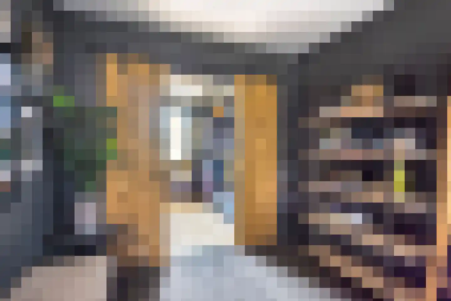 Kievitshorn 2 Noordwijkerhout thumbnail 7