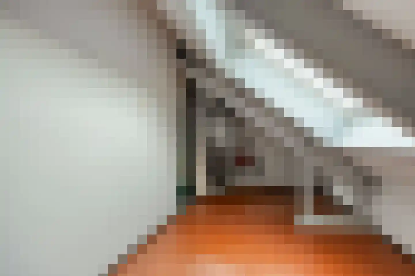 Kievitshorn 6 Noordwijkerhout thumbnail 33