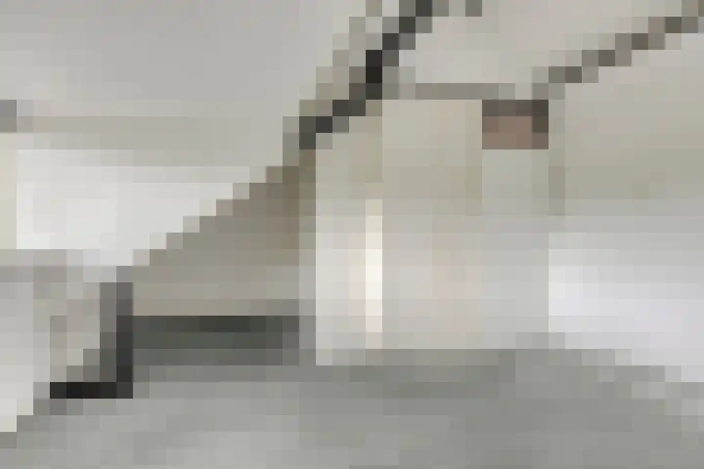 Kievitshorn 6 Noordwijkerhout thumbnail 35