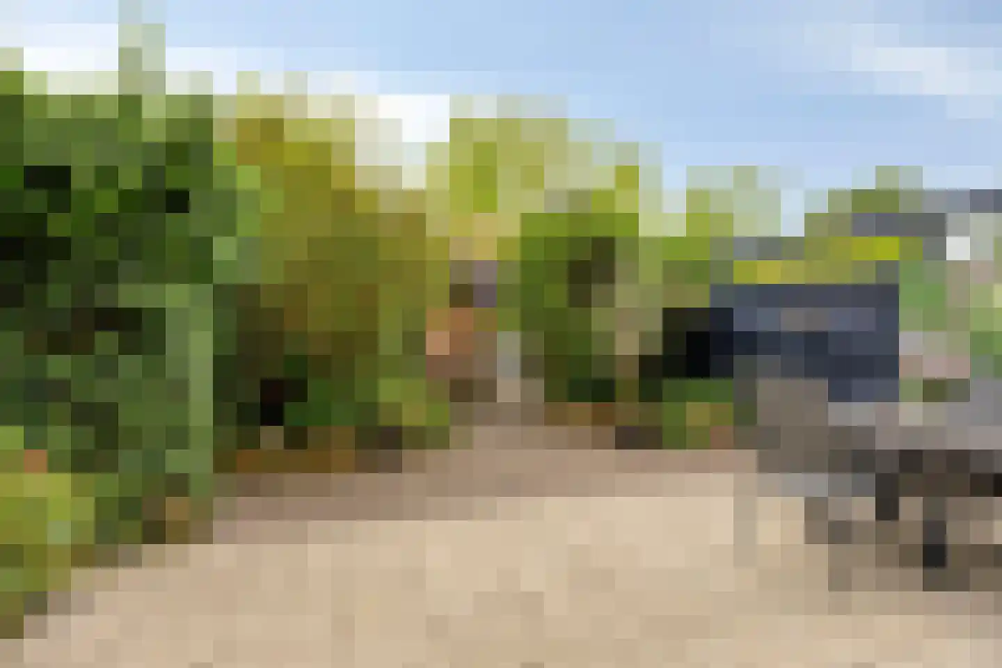 Kievitshorn 6 Noordwijkerhout thumbnail 36