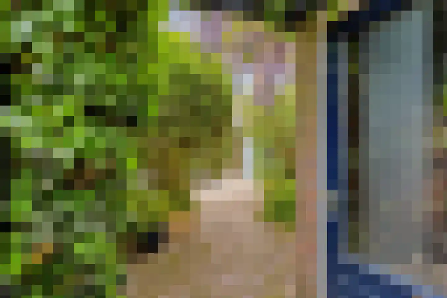 Kievitshorn 6 Noordwijkerhout thumbnail 39