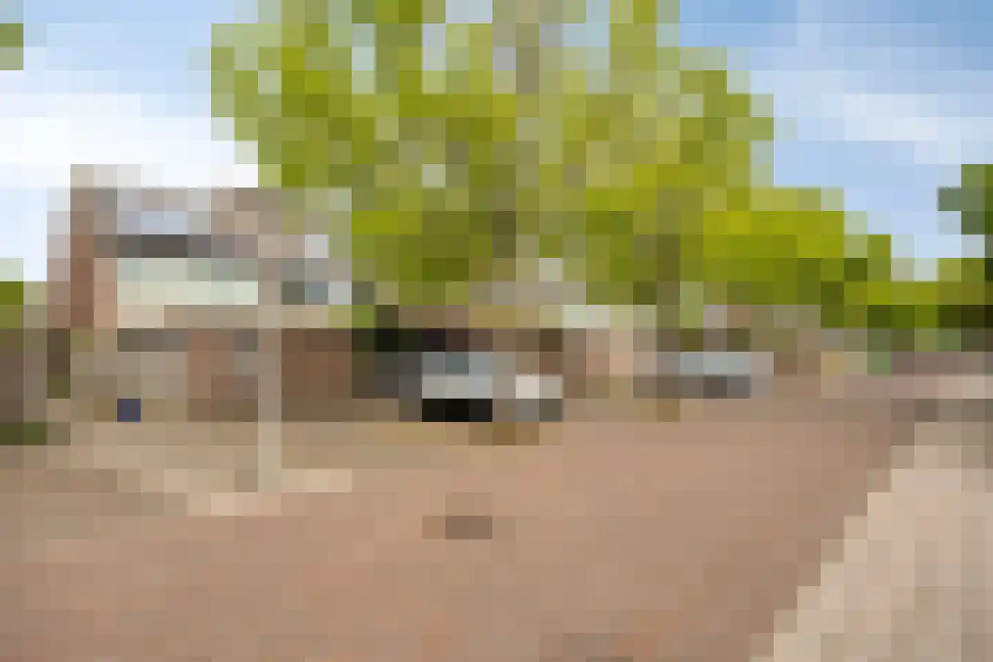 Kievitshorn 6 Noordwijkerhout thumbnail 41