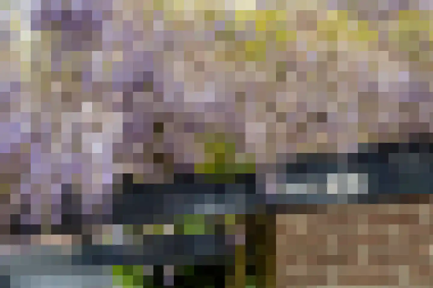 Kievitshorn 6 Noordwijkerhout thumbnail 42