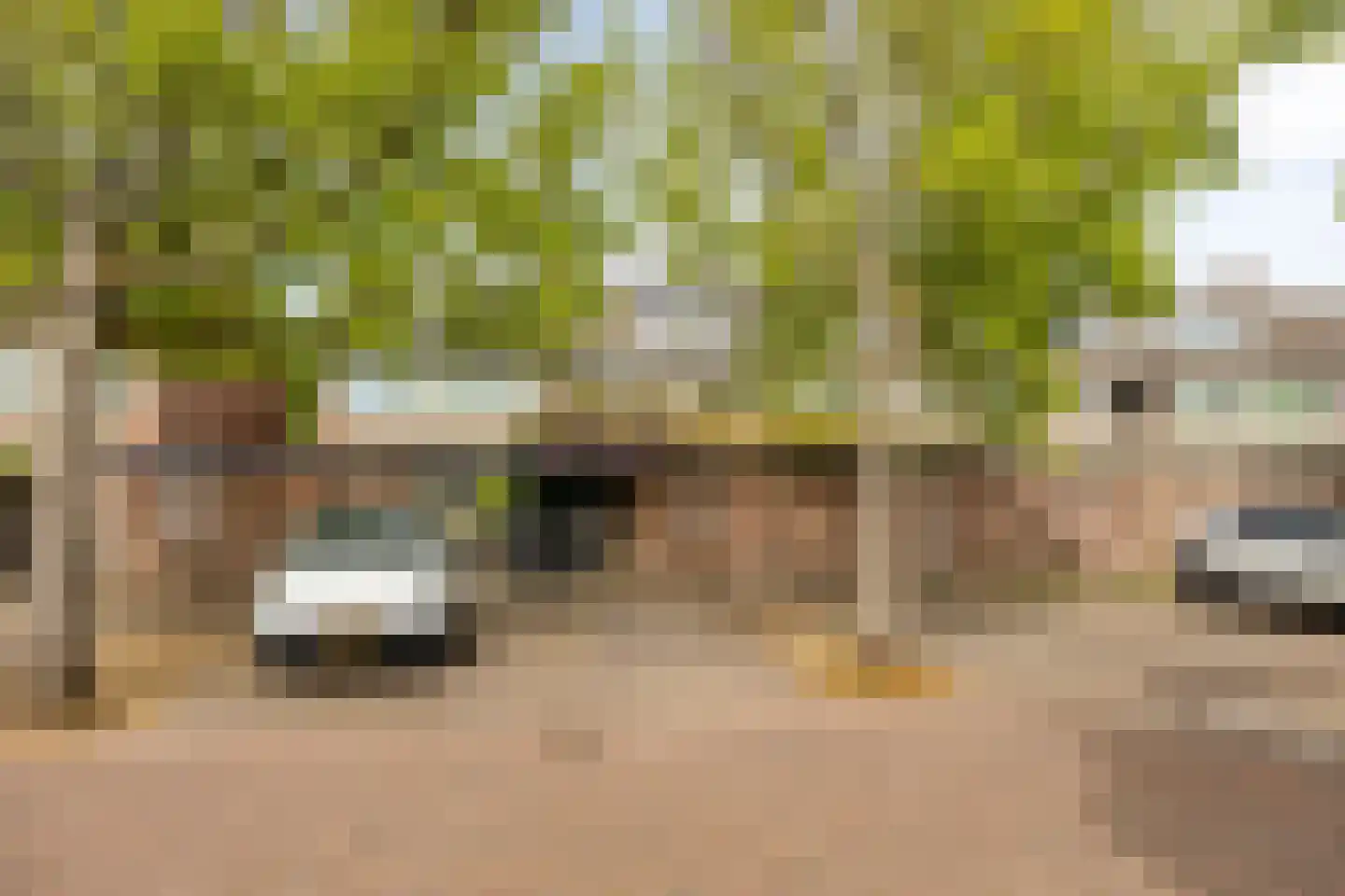 Kievitshorn 6 Noordwijkerhout thumbnail 43