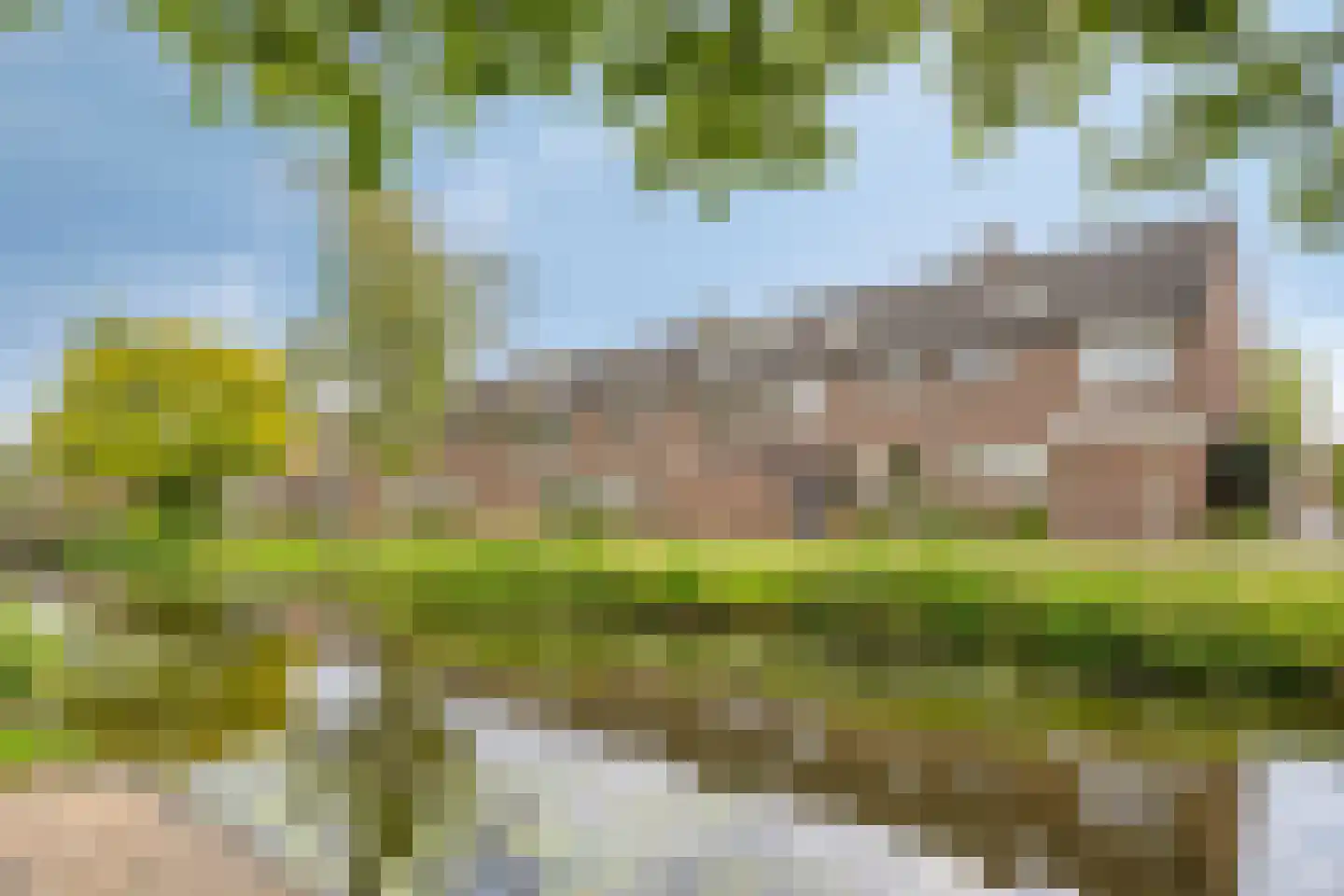 Kievitshorn 6 Noordwijkerhout thumbnail 44