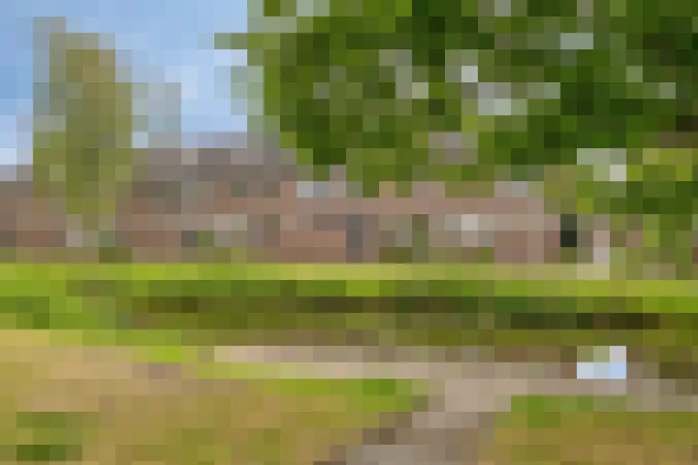 Kievitshorn 6 Noordwijkerhout thumbnail 45