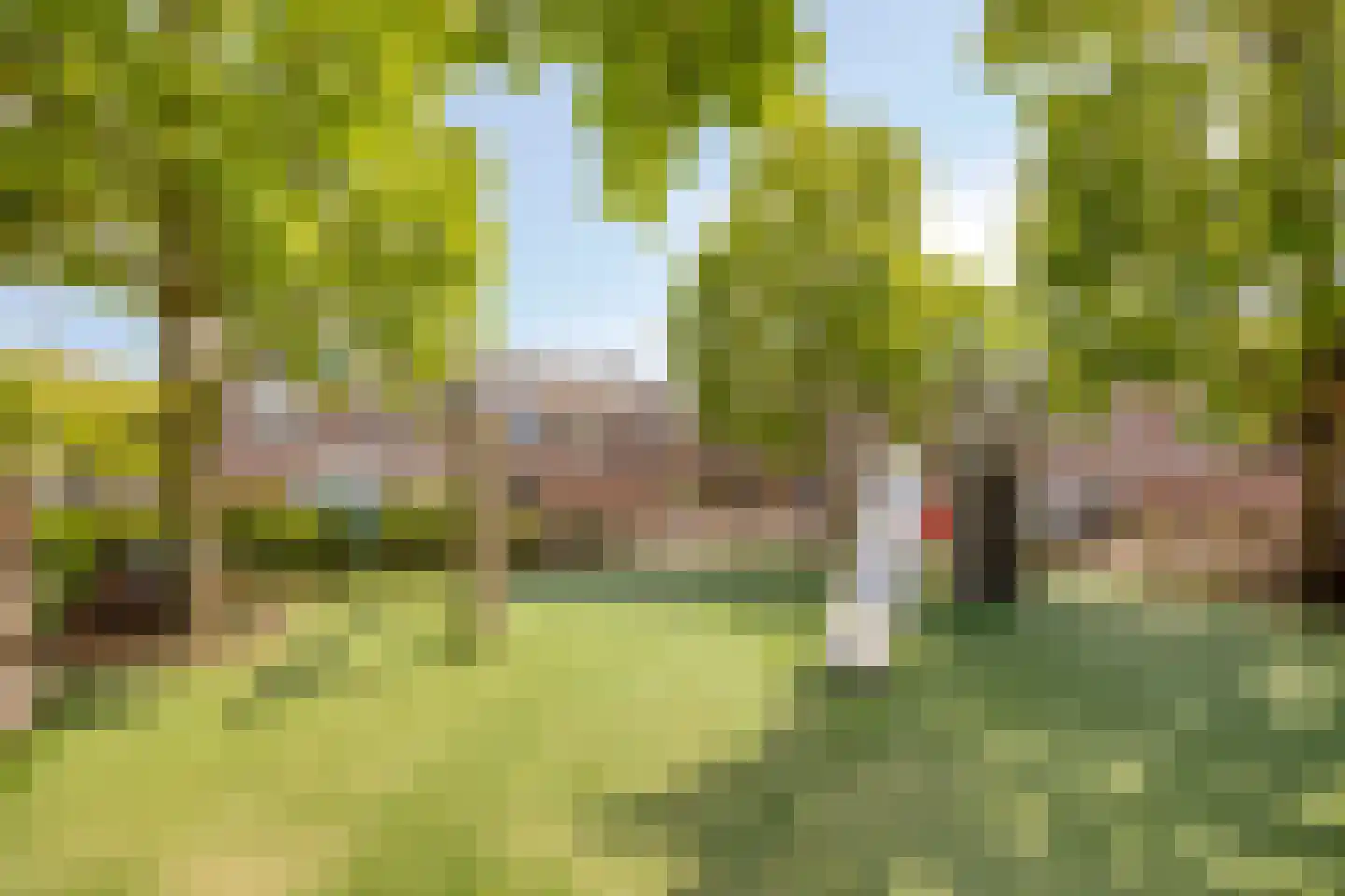 Kievitshorn 6 Noordwijkerhout thumbnail 49