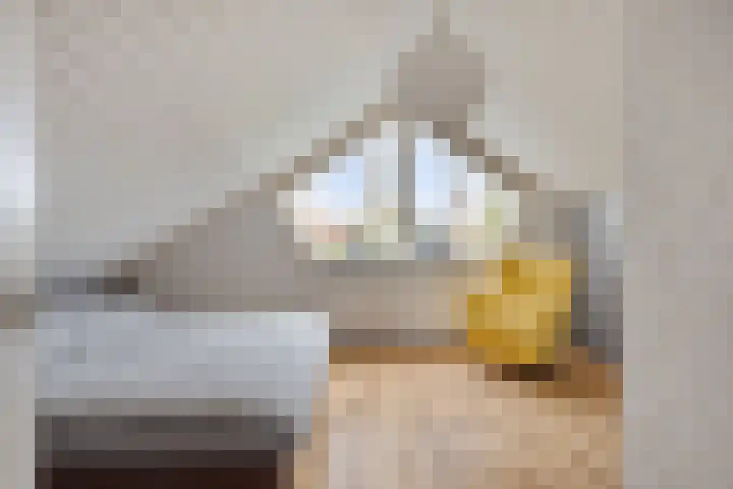 Kievitslaan 17 Bergen (NH) thumbnail 25