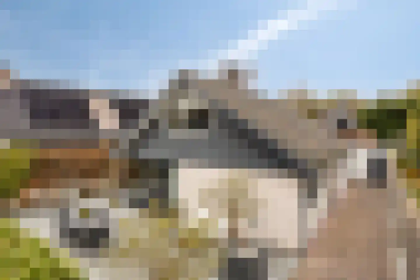 Kievitslaan 17 Bergen (NH) thumbnail 33