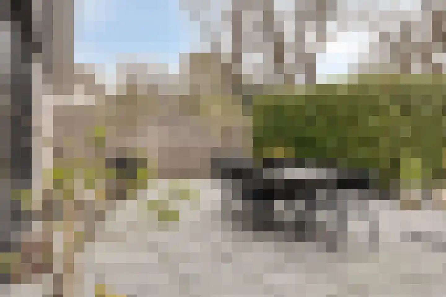 Kievitslaan 17 Bergen (NH) thumbnail 35
