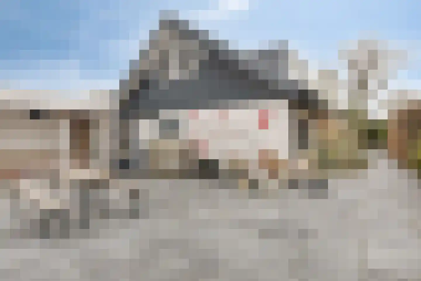 Kievitslaan 17 Bergen (NH) thumbnail 39