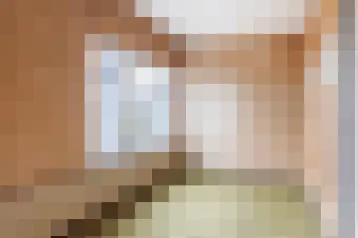 Kievitslaan 18 Schiedam thumbnail 24