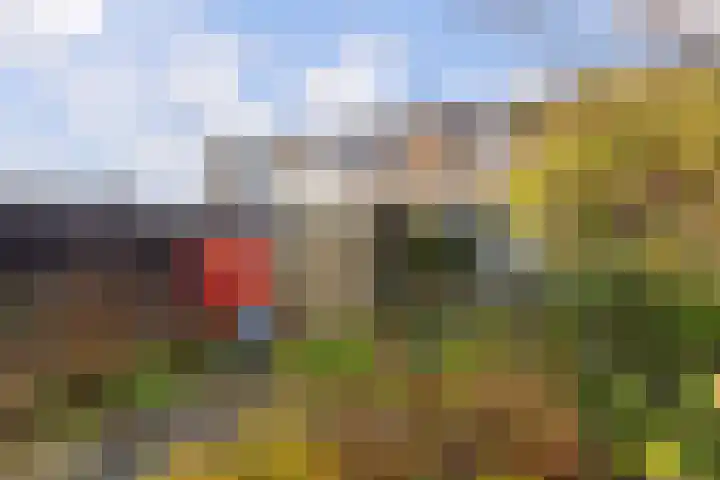 Kievitslaan 18 Schiedam thumbnail 28