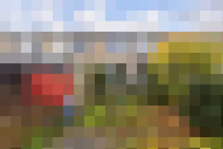 Kievitslaan 18 Schiedam thumbnail 31