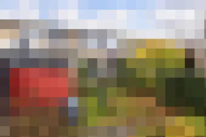 Kievitslaan 18 Schiedam thumbnail 32
