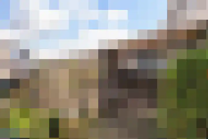 Kievitslaan 18 Schiedam thumbnail 33
