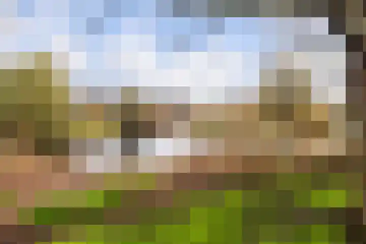 Kievitslaan 18 Schiedam thumbnail 35