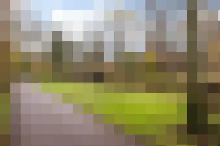 Kievitslaan 18 Schiedam thumbnail 36