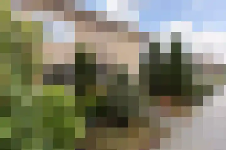 Kievitslaan 18 Schiedam thumbnail 7