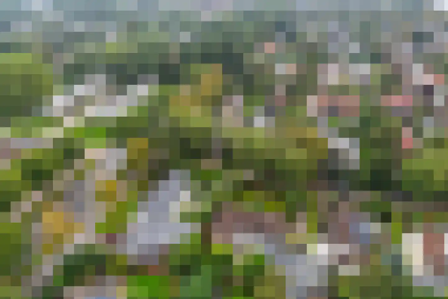 Kievitslaan 23 Bergen (NH) thumbnail 31