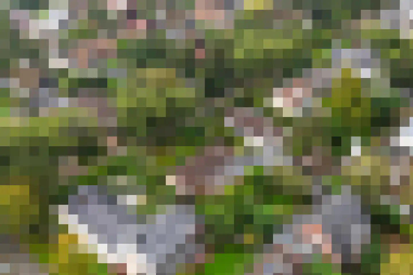 Kievitslaan 23 Bergen (NH) thumbnail 33
