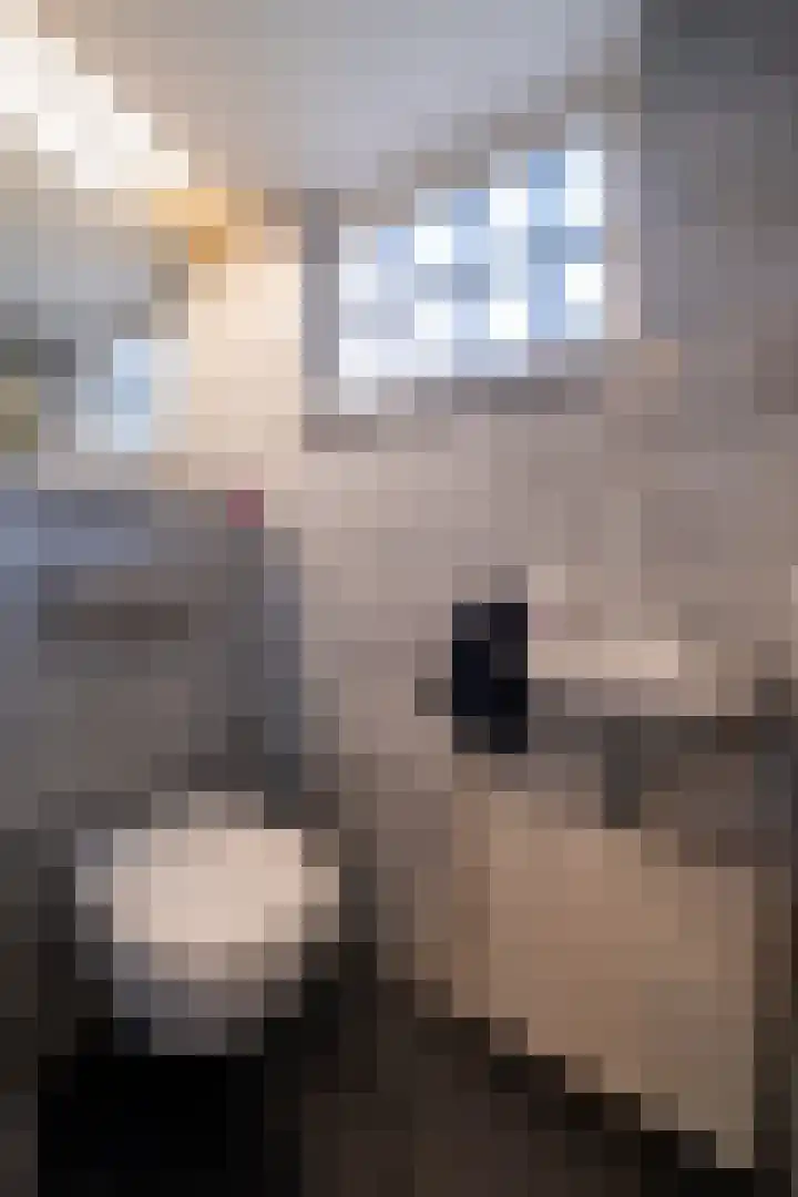 Kievitslaan 83 Vinkeveen thumbnail 13