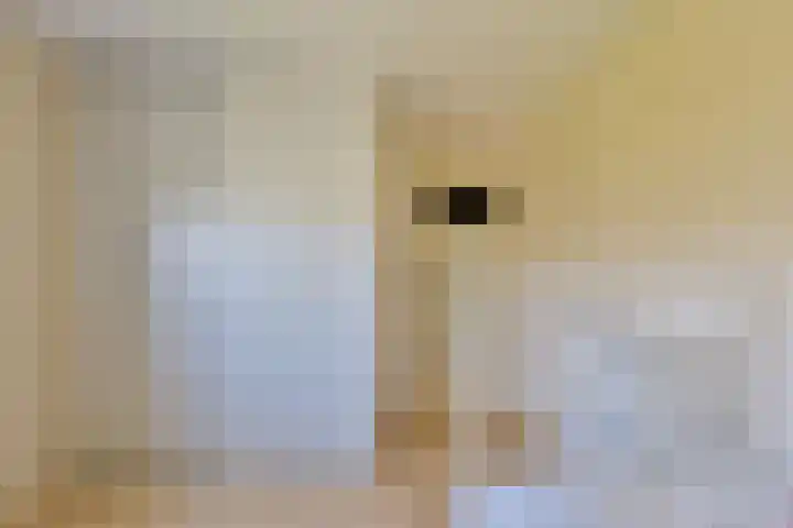 Kievitslaan 97 Vinkeveen thumbnail 18